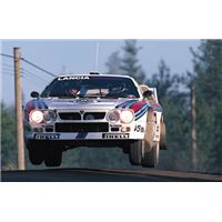 RALLY 037.jpg